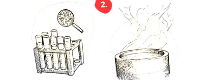 brânza