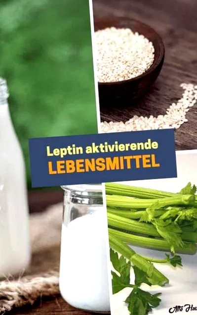 alimente