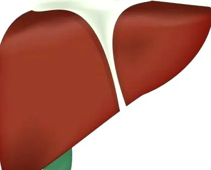 hepatic hepatic