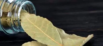 dafin