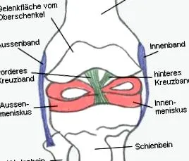 medical