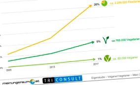 meinungsraum Piackutatás tanulmány