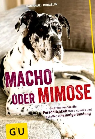 мачо