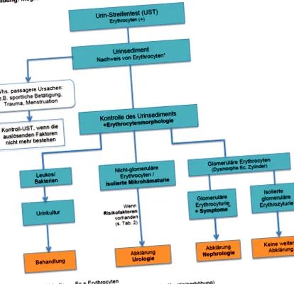 microhematuria