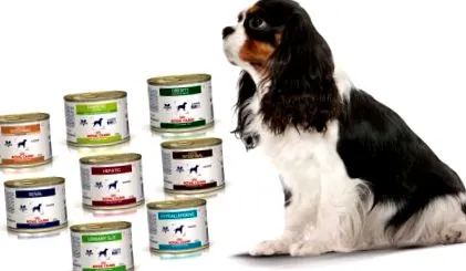 g-ban canine-feuchtdi-tól