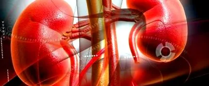 nephropathia