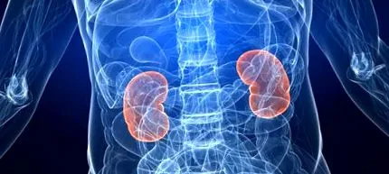Nephropathia vesekárosodás