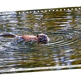 birou calendar