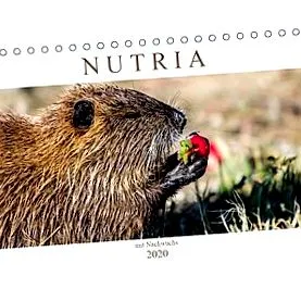 birou calendar