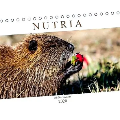 birou calendar