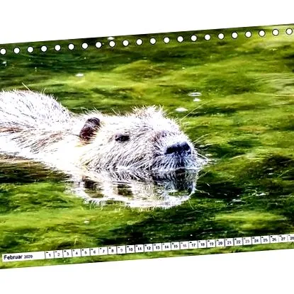 birou calendar
