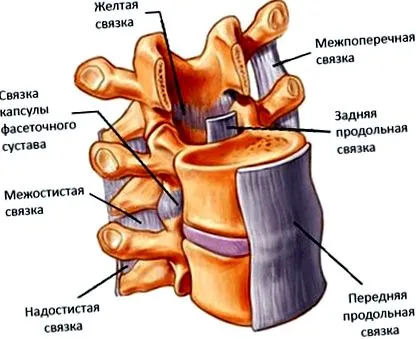 причини