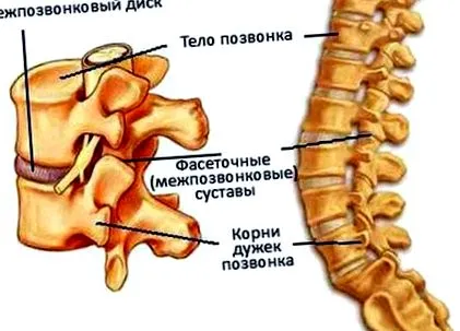 симптоми