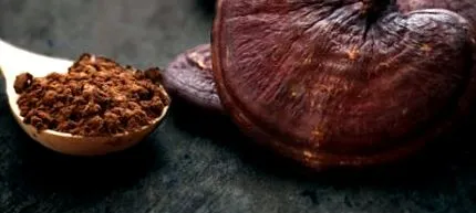 cacao