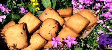születtek