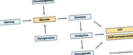 alacsony vércukorszint