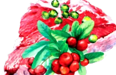 карнилов