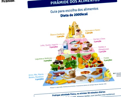 învățământul obezității