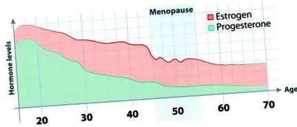 tipikus felismerése
