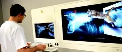 urologică