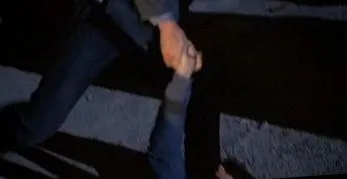 jelentés