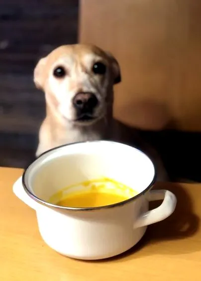 dogtisch