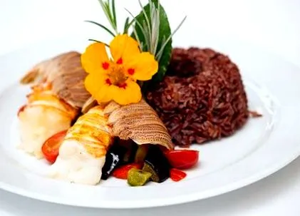 alimentație