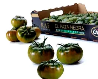 negra