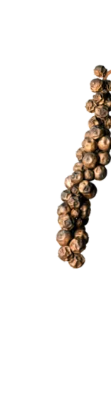 sótlanul