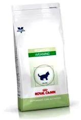 canin royal