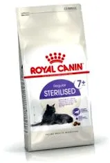 royal macska