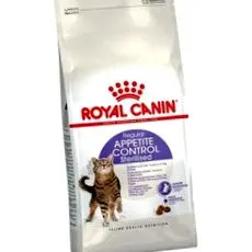 macska royal