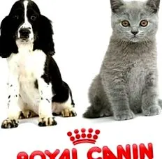 garden royal