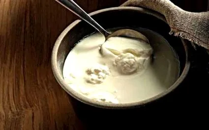 kefir