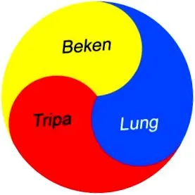 tibmed