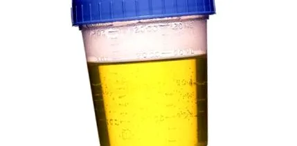 összefüggő