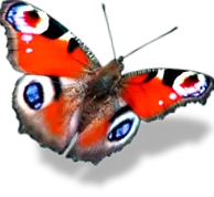 eredethez
