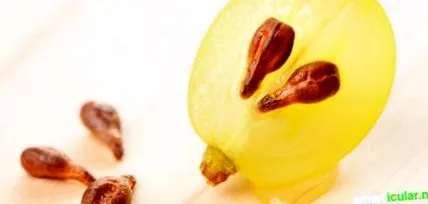 superfood
