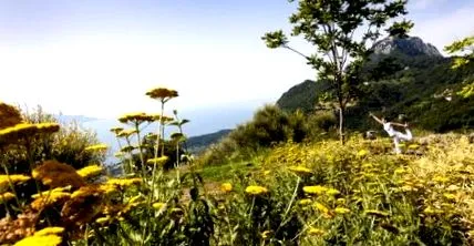 lefay garda-tó