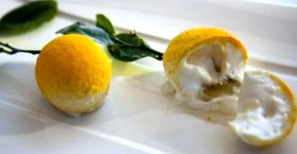 napos gargnano