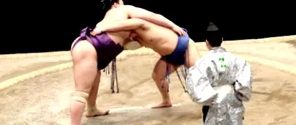 sumo