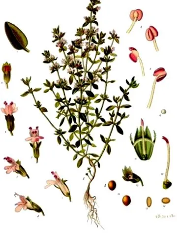 értékes