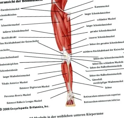 narancsbőrhez tippek