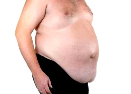 zsír