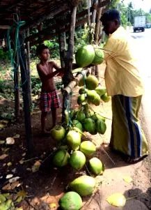 lanka
