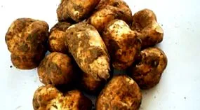 anghinare