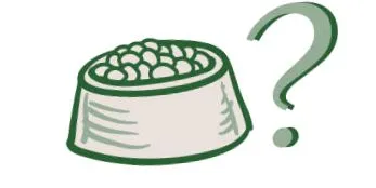 платиничка