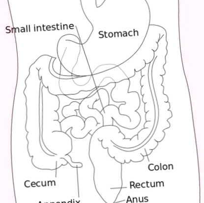 sigmoid