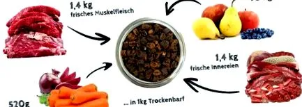 hipoallergén