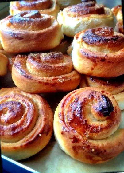 vegetarian bucătărie